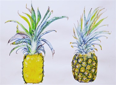 Joan Rubel, Pineapple