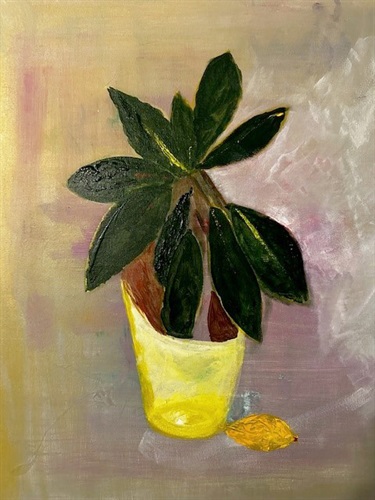 Julie Iyengar, Janet's magnolia