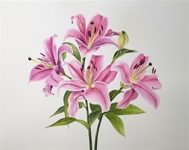 Sandra Lien, Oriental lilies