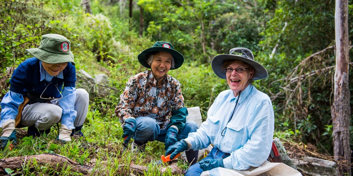 Bushcare Volunteers