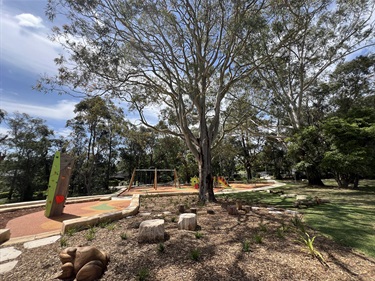 Hassall Park playground