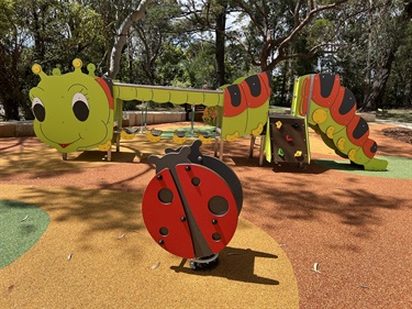 Hassall Park playground