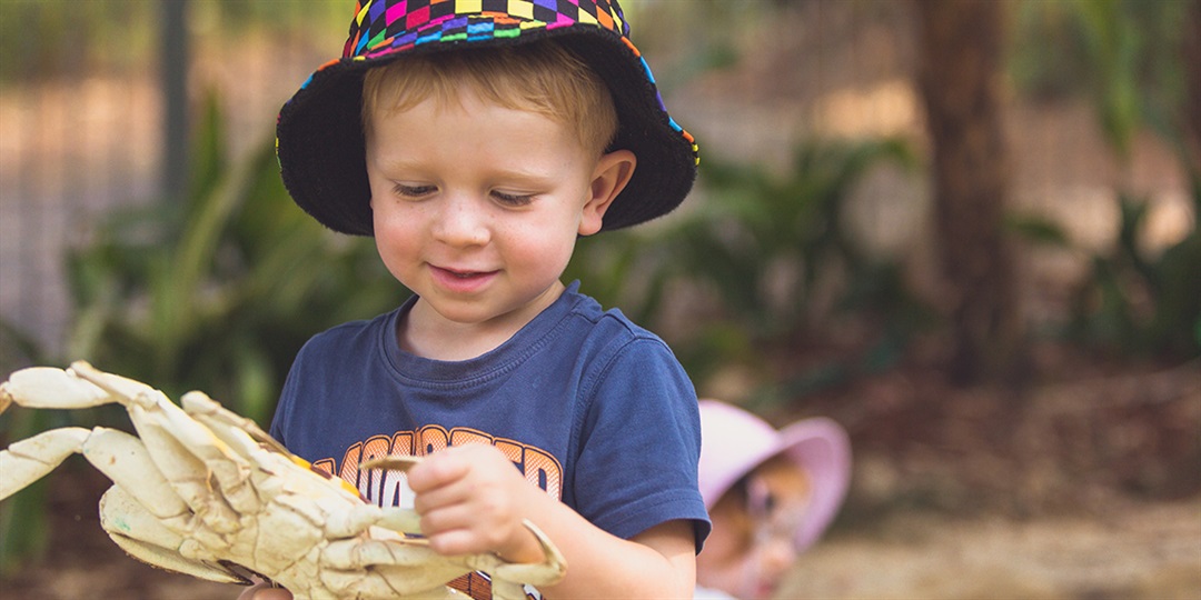 Is Family Day Care Cheaper