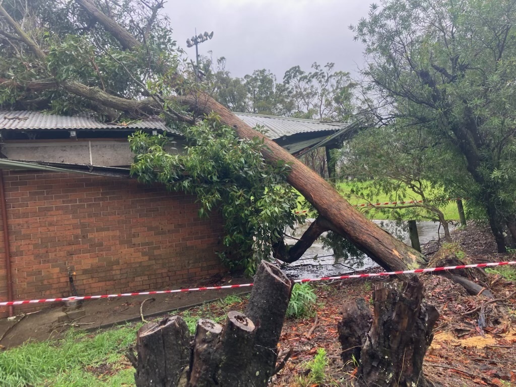 Tree damage to Jim Powell Pavilion at St Ives Showground