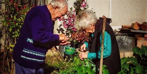 Zara Trovato - Nonna Gardening