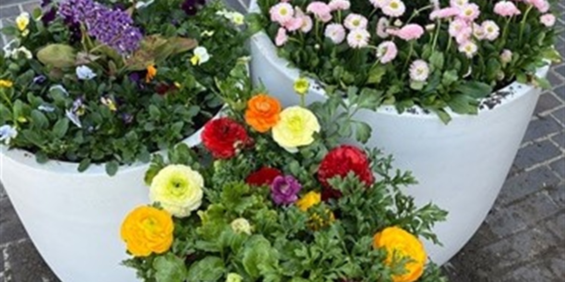 Spring flowers 4.jpg