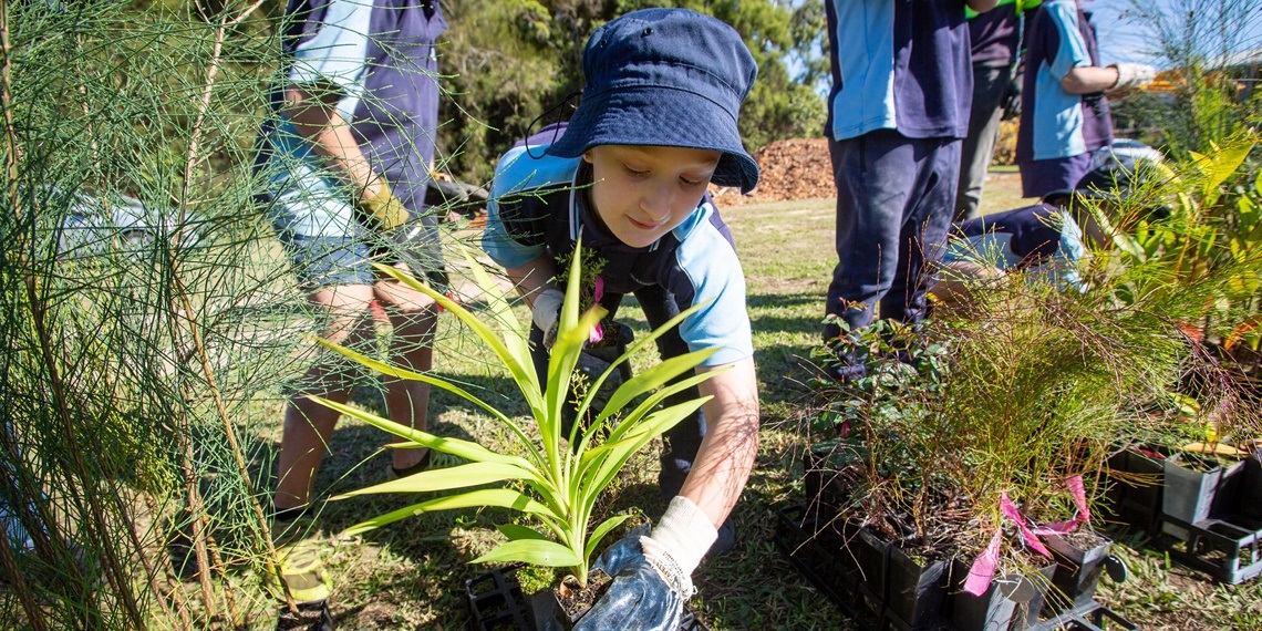 More Council grants for the local community Ku-ring-gai