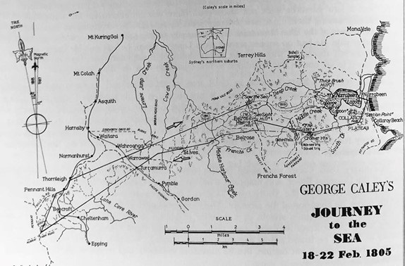 tree trail map old.jpg