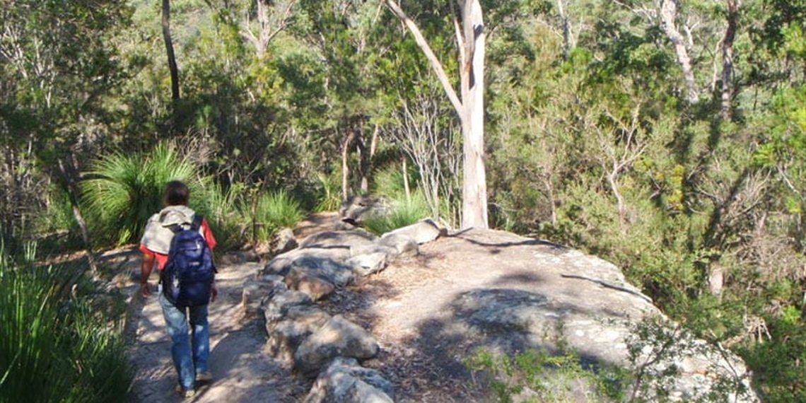 Guided Bushwalk - Gibberagong Track