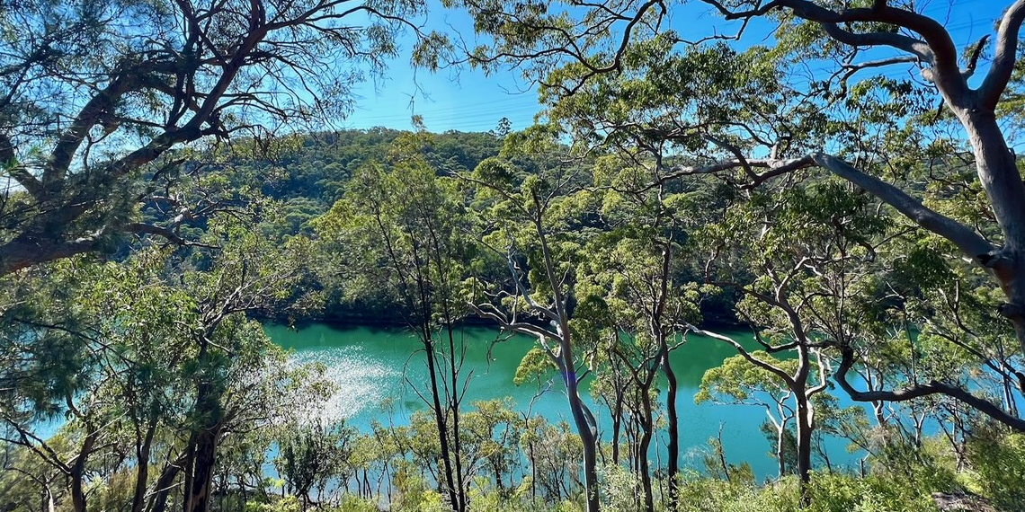 Guided bushwalk - Two Creeks track